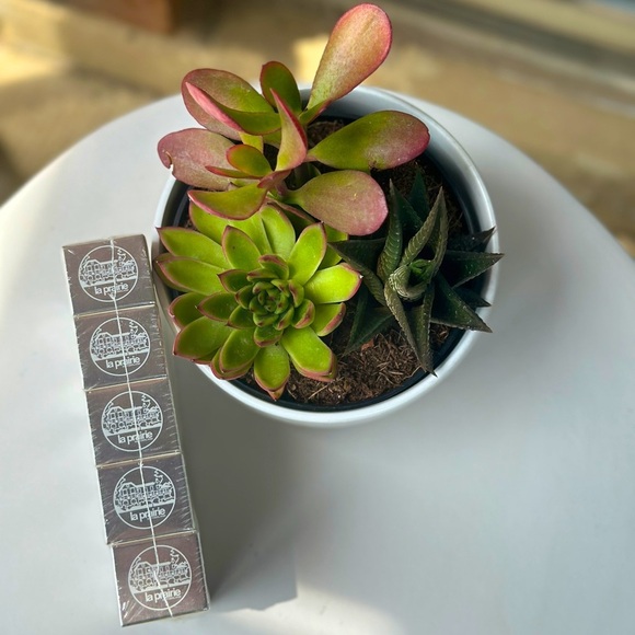 NEW 5xLa Prairie SKIN CAVIAR LIQUID LIFT LIFTING AND FIRMING SERUM 5ML - Picture 2 of 7